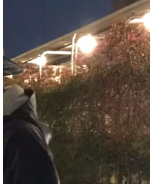 no brand | キャップ