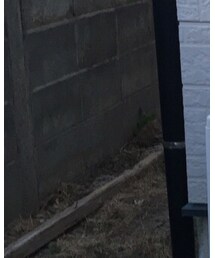 H&M | Tシャツ/カットソー