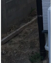 H&M | スラックス