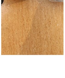 Tシャツ | Tシャツ/カットソー