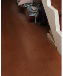 ZARA | スニーカー