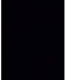 Yohji Yamamoto POUR HOMME | Tシャツ/カットソー