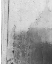 乡 | Tシャツ/カットソー