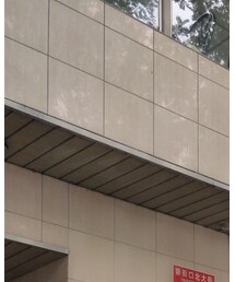 H&M | Tシャツ/カットソー