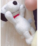 UNIQLO(ユニクロ)の「雑貨/ホビー(フィギュア)」
