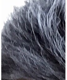 Silver hair | 帽子