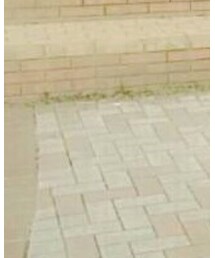 GU | デニムパンツ