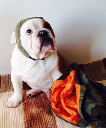 手に持ってみました | 裏地はオレンジです(その他)