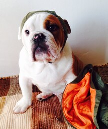 カメラ目線も忘れずに | ジーーー(その他)