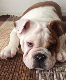 しげちゃん | めっちゃ不機嫌(その他)