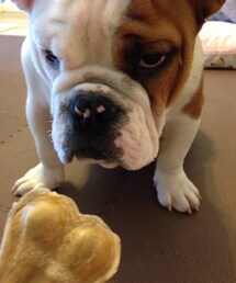 しげちゃん | おみやげもろた(その他)