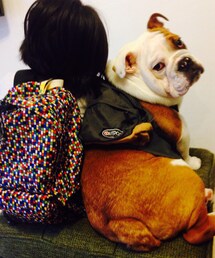 しげちゃん | カメラ目線ッ!(その他)