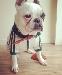 おさがりくれるおねぇさま | 名前は、小雪。(その他)