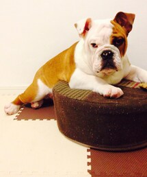 しげちゃん | 座り方がマーメイド。笑(その他)