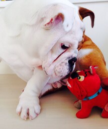 しげちゃん | じーーーっ。(その他)