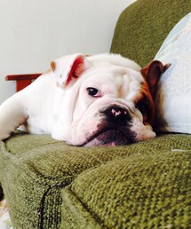 しげちゃん | とーろーけーるー(その他)