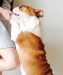 しげちゃん | がおー！(その他)