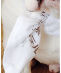 某温泉の。笑 | フェイスタオル