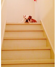 しげちゃん | その他