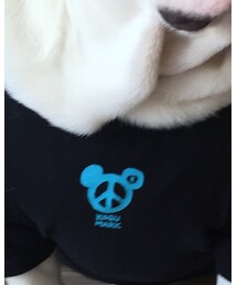 こぐまーく | Tシャツ/カットソー