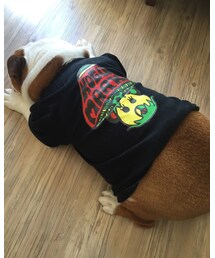 こぐまーく | その他