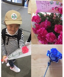 母の日 | ラッピングキット