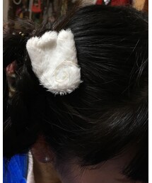 羽やで。 | ヘアピン