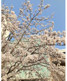 チャリで3分 | その他