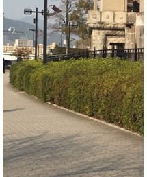 JOURNAL STANDARD | その他パンツ