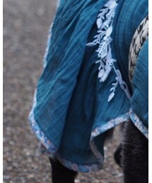 pecos | ワンピース