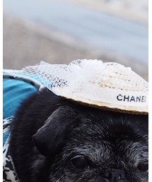 coco luxe | ハット