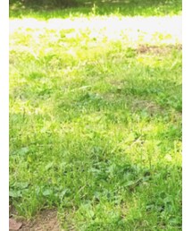 Birthday | パンツ