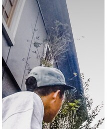 Supreme  | キャップ