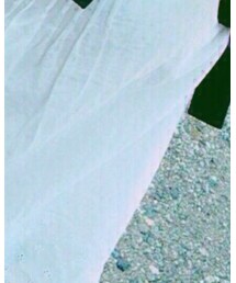 Honeys | シャツ/ブラウス