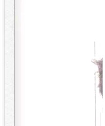 mastermind JAPAN | メガネ