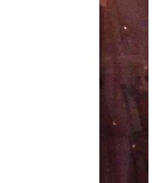 MARCELO BURLON | Tシャツ/カットソー