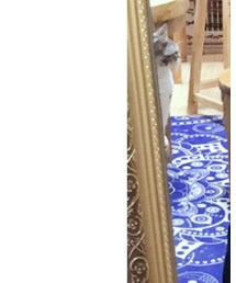 matias | デニムパンツ