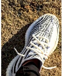 adidas | スニーカー