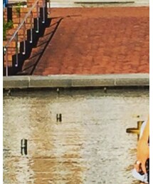 神戸フルーツフラワーパーク | その他