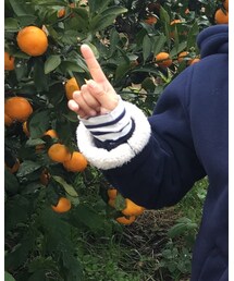 coen | ニット/セーター