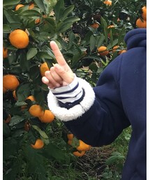 Lee | Tシャツ/カットソー