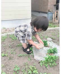 西松屋 | トップス