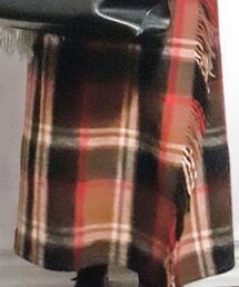 Eddie Bauer | Wool wrap skirt with fringe (thrift find)(スカート)