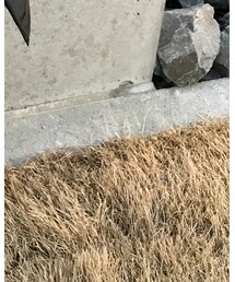 Timberland | ブーツ