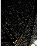 LOUIS VUITTON(ルイヴィトン)の「財布/小物(財布)」