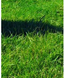 e.r.g* | デニムパンツ