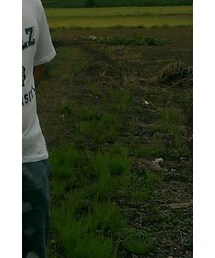 anko rock | パンツ