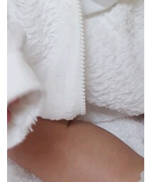 BeBe | ソックス/靴下