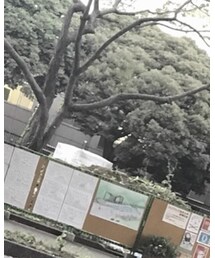 ブラックコーデ | その他