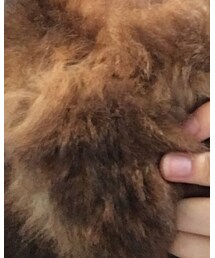 VINTAGE | マフラー